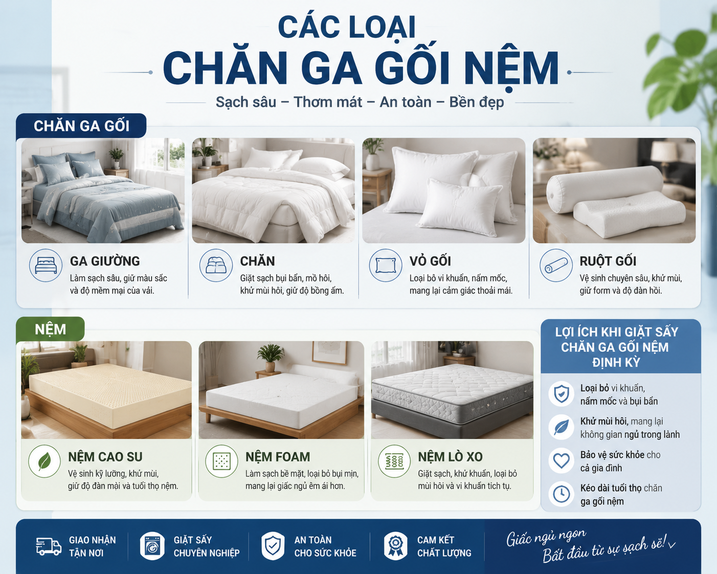 cac loai chan ga goi nem 2