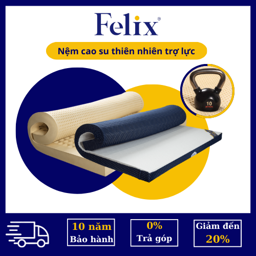 Nệm cao su Felix đỡ cột sống, giảm đau lưng - Felix Support - Độ cứng ...